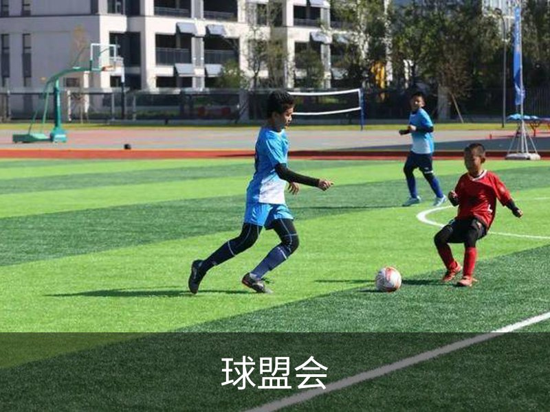 球盟会概况